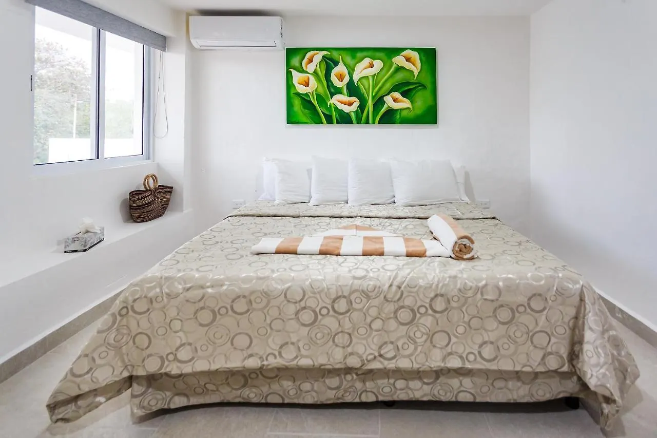 Kaam Accommodations Puerto Morelos Mexico